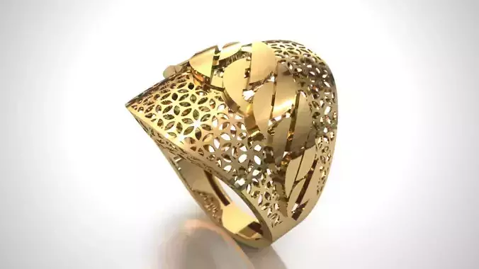 Light weight wide fusion chain ring