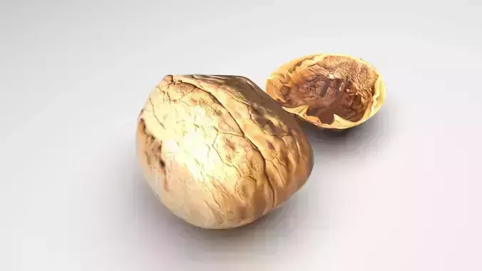 Walnut 3D model