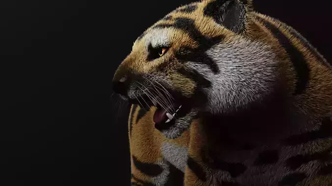 TIGER  RIGGED - ANIMATED