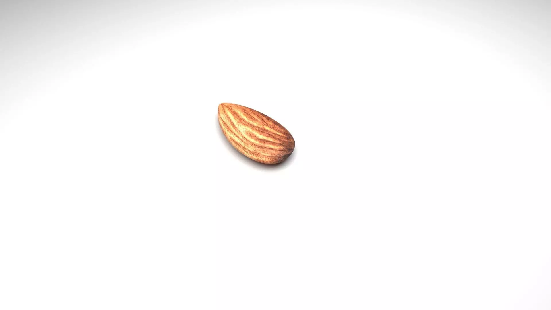 Almond 3D model