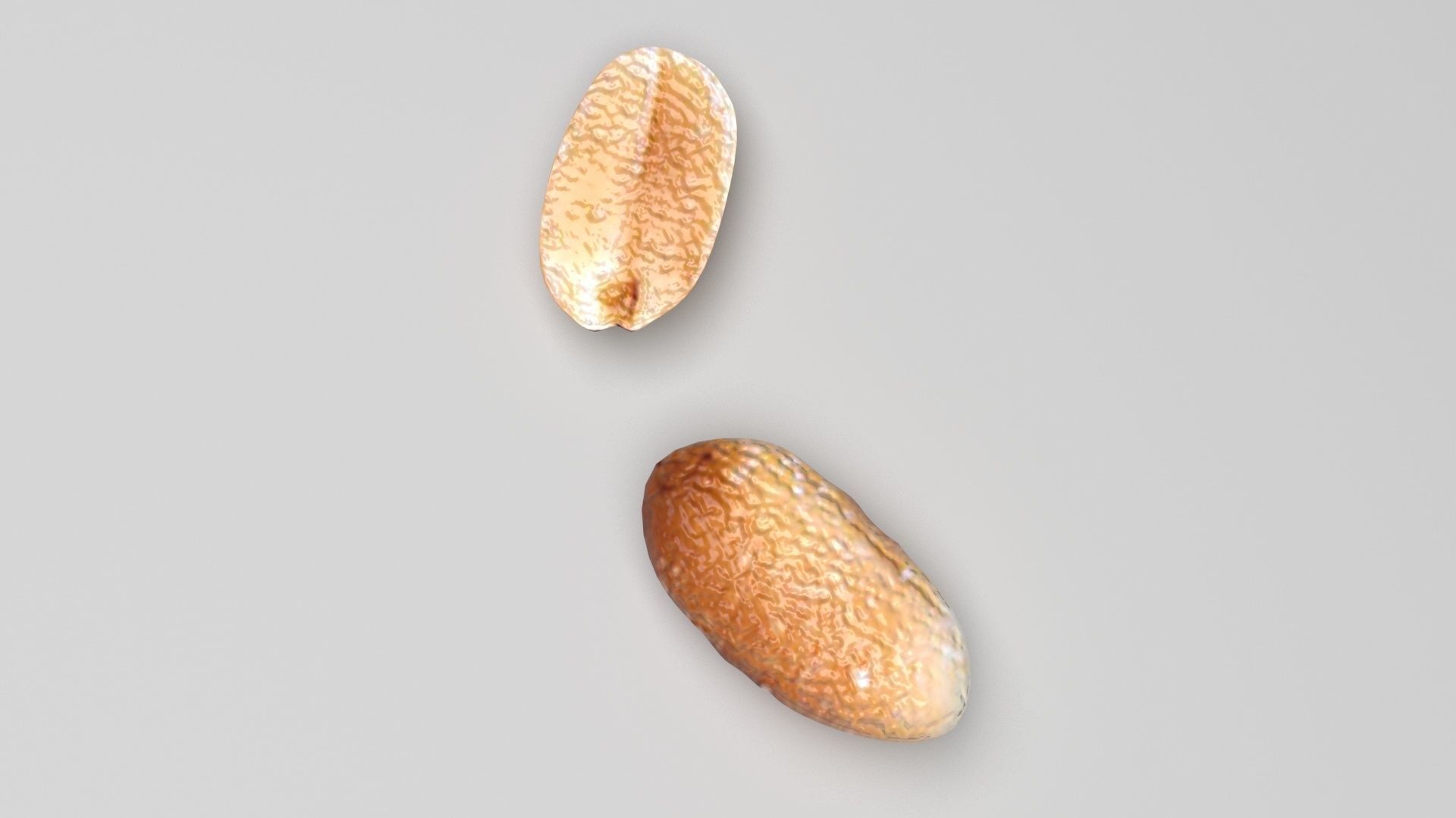 Peanut 3D model_1