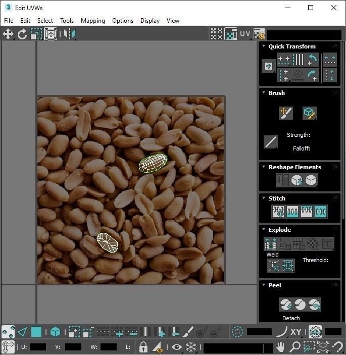 Peanut 3D model_27
