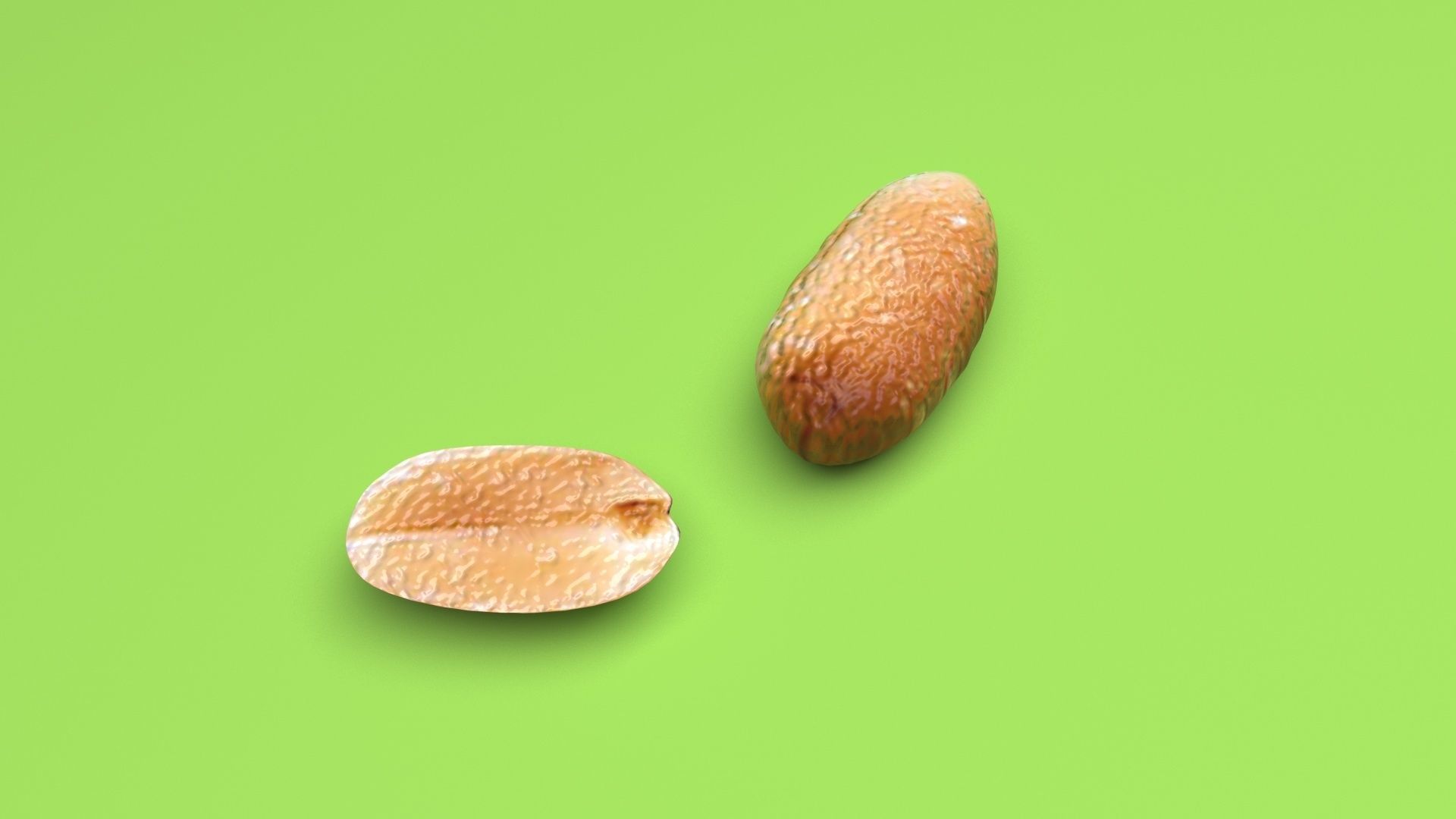 Peanut 3D model_9