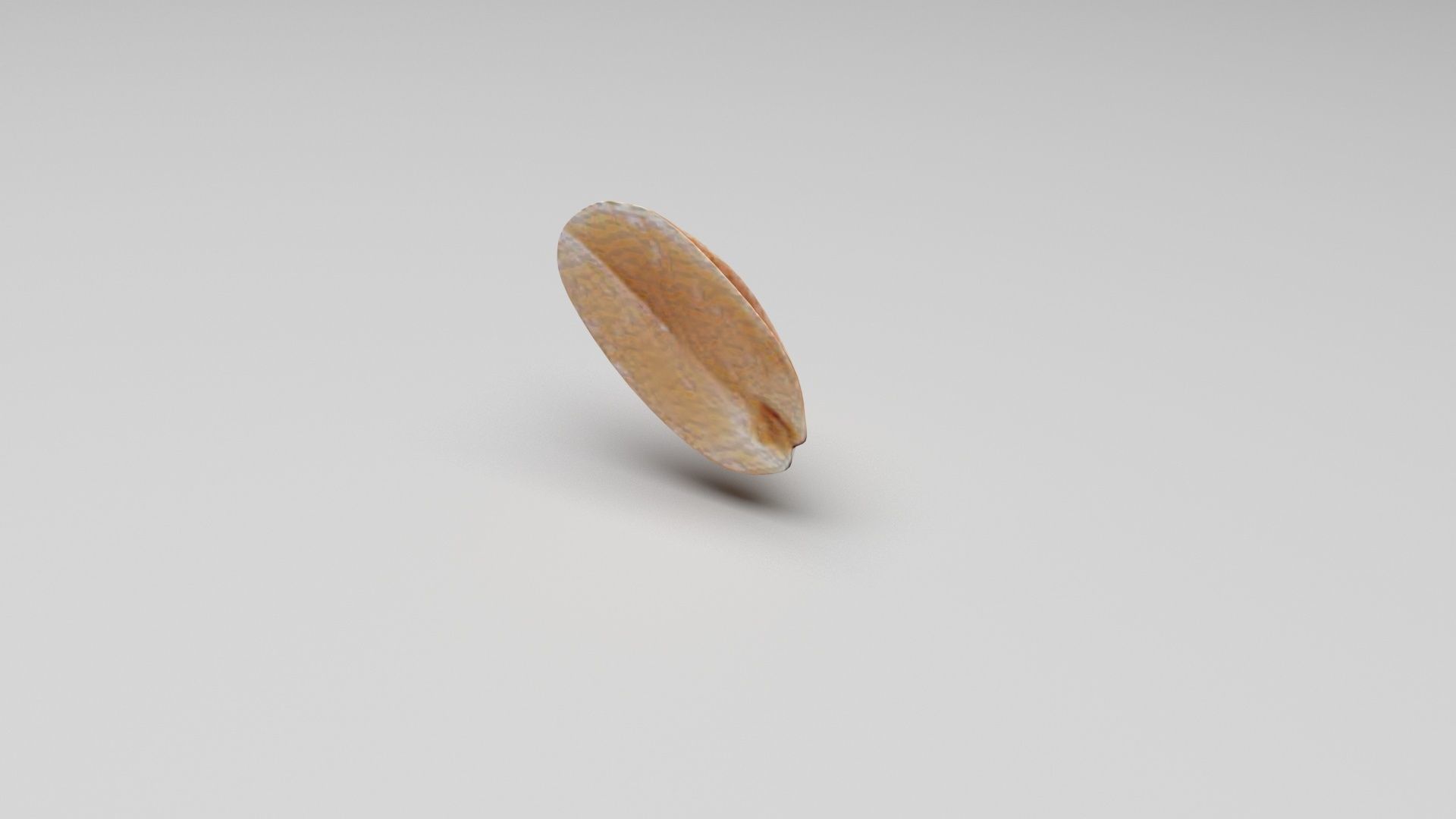 Peanut 3D model_5