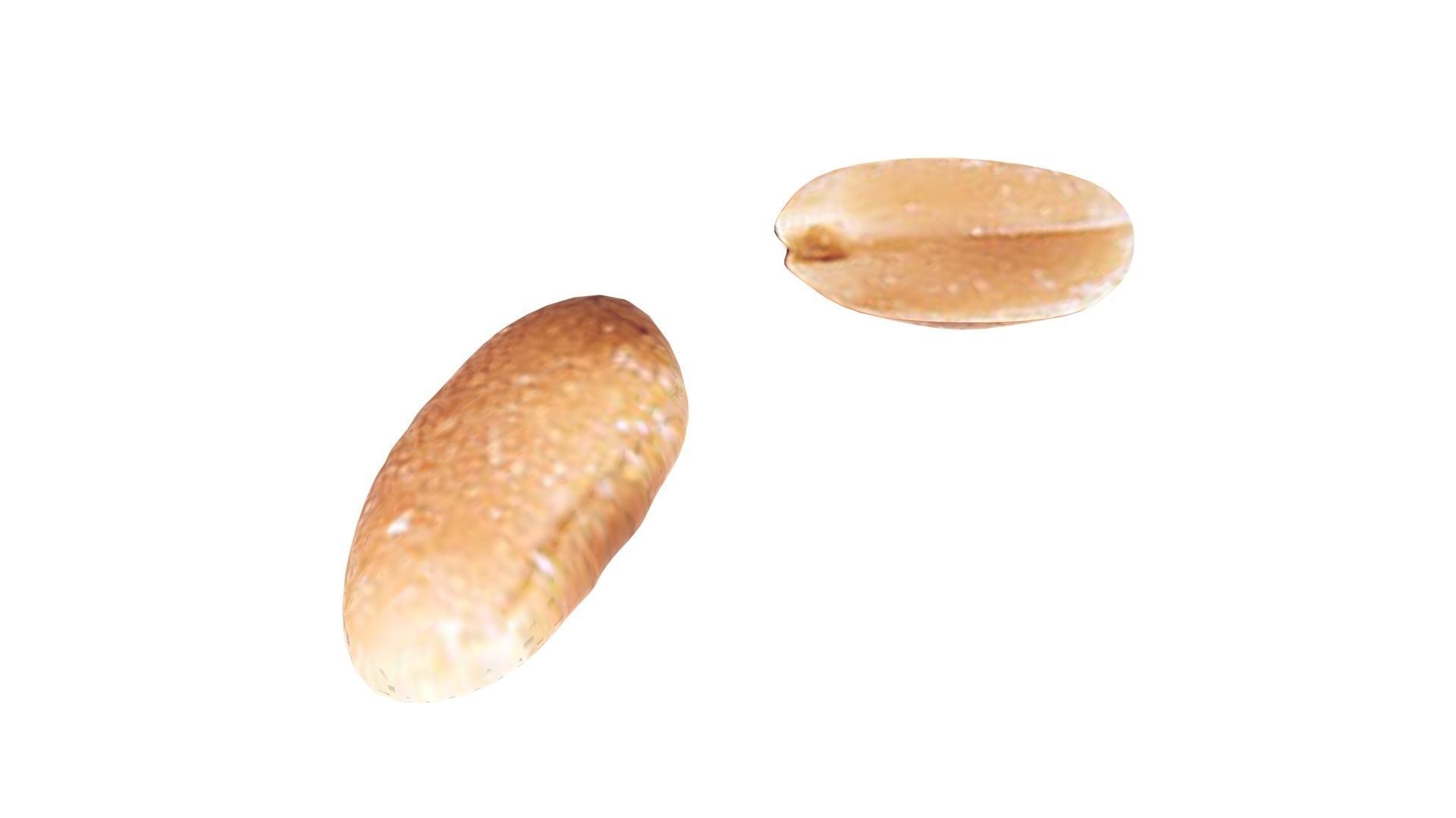 Peanut 3D model_13