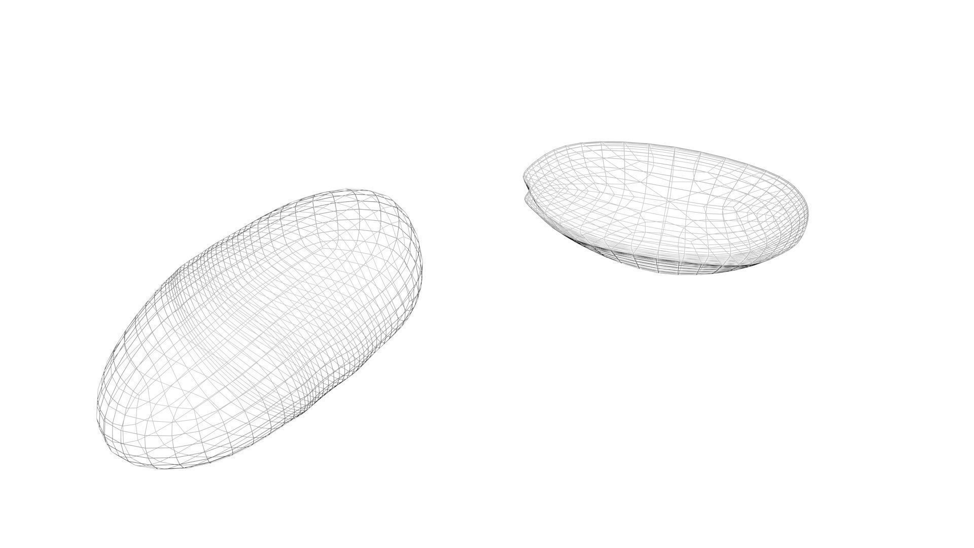 Peanut 3D model_20