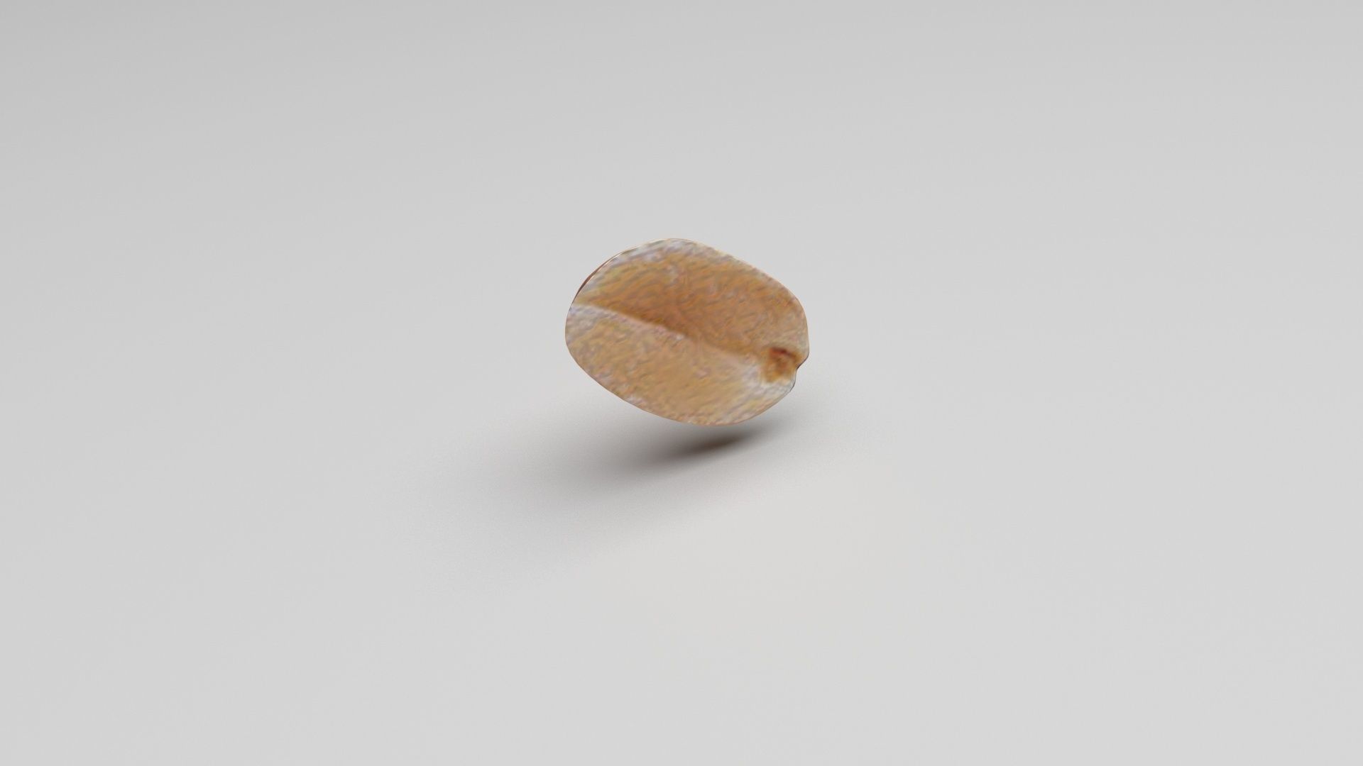 Peanut 3D model_4