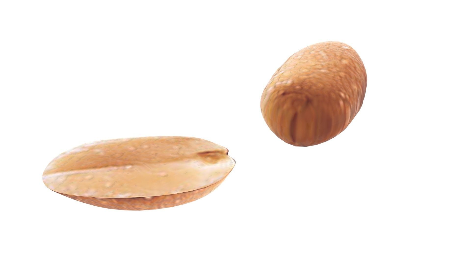 Peanut 3D model_11