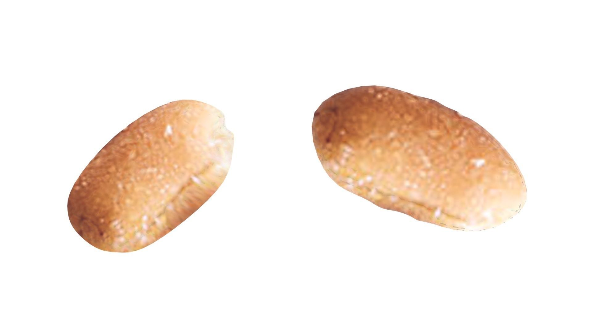 Peanut 3D model_17
