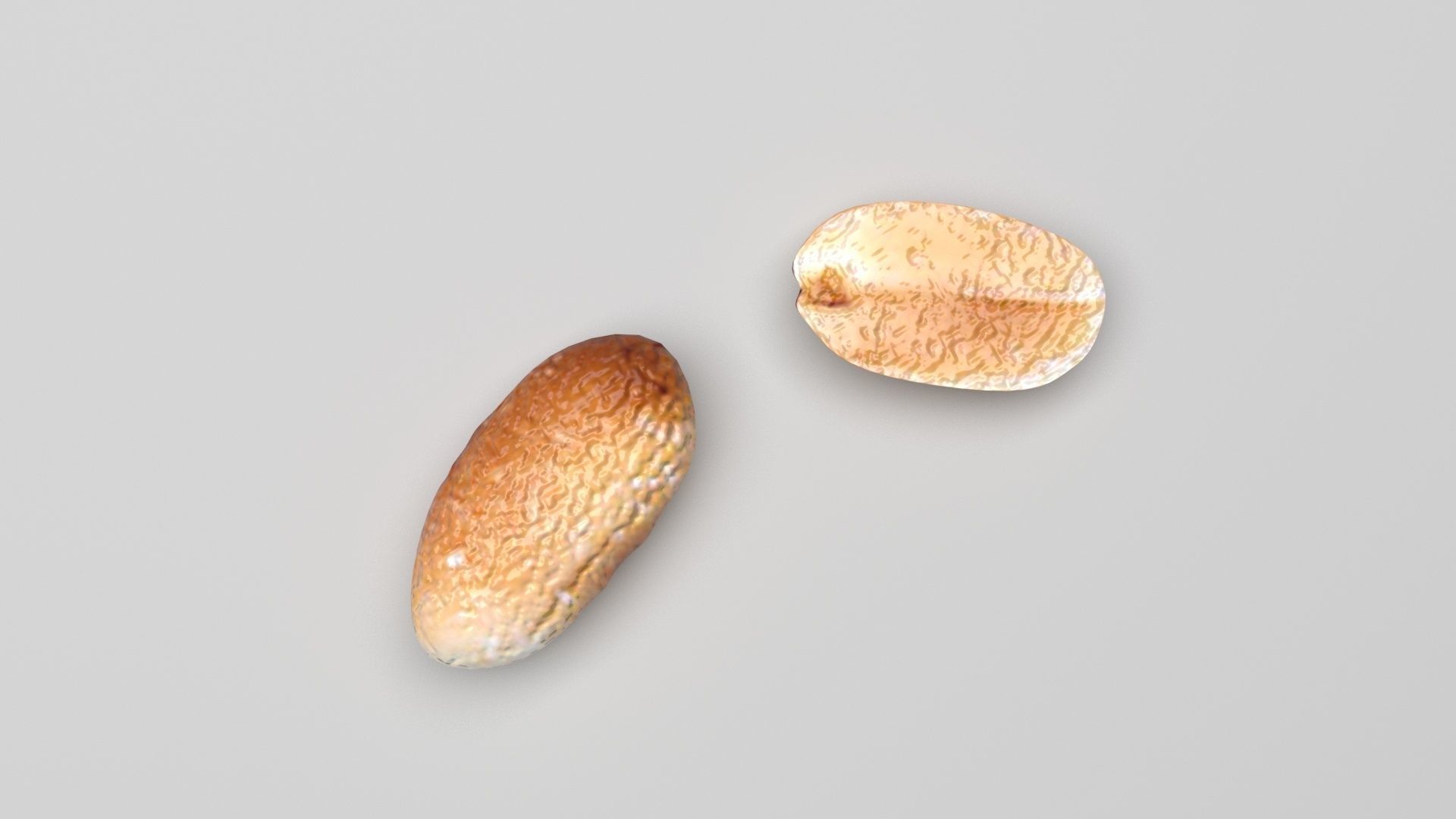 Peanut 3D model_2