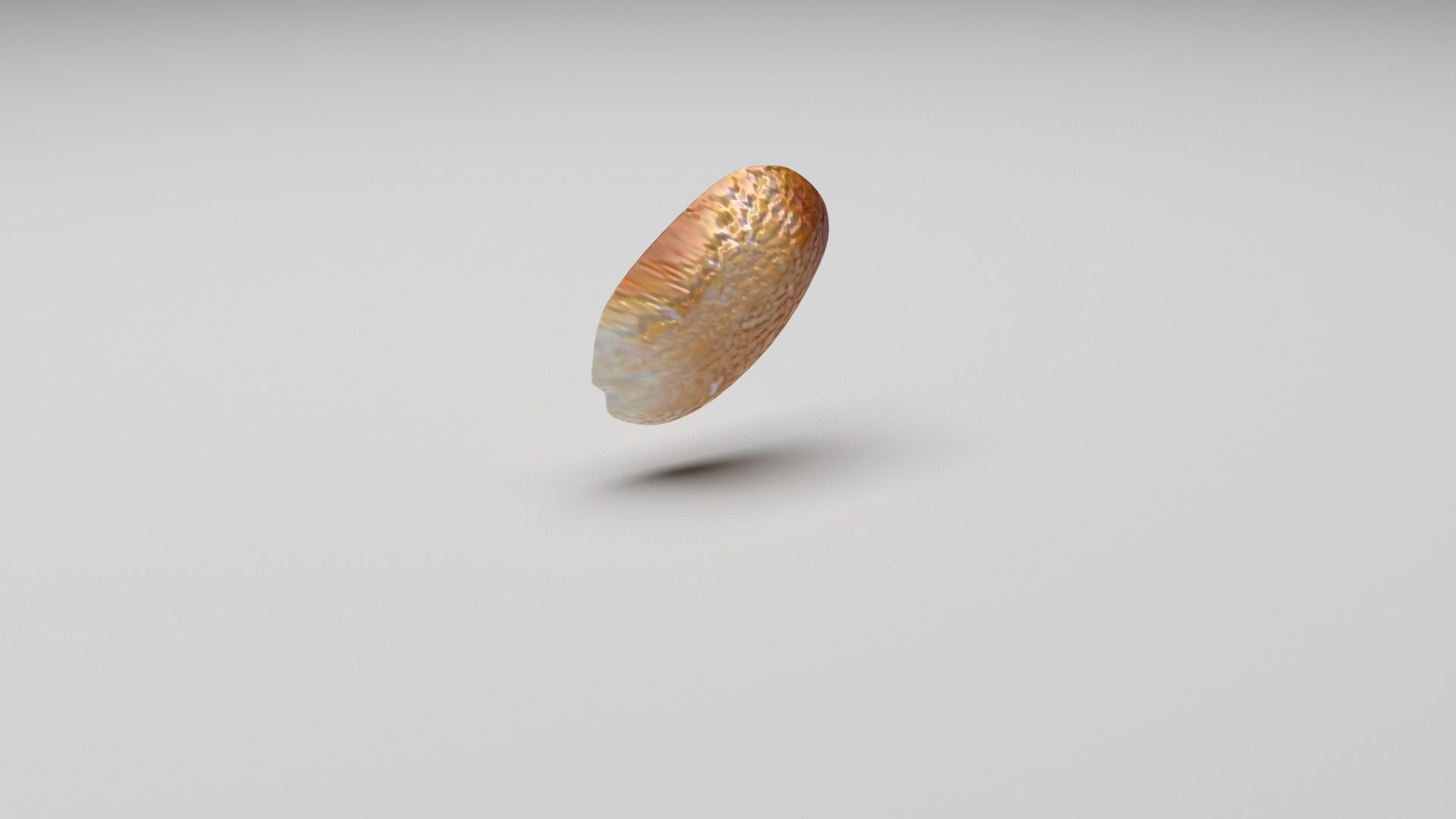 Peanut 3D model_6