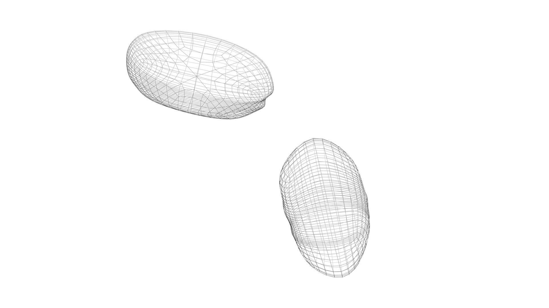 Peanut 3D model_22