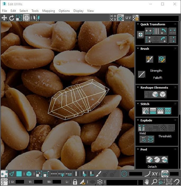Peanut 3D model_26