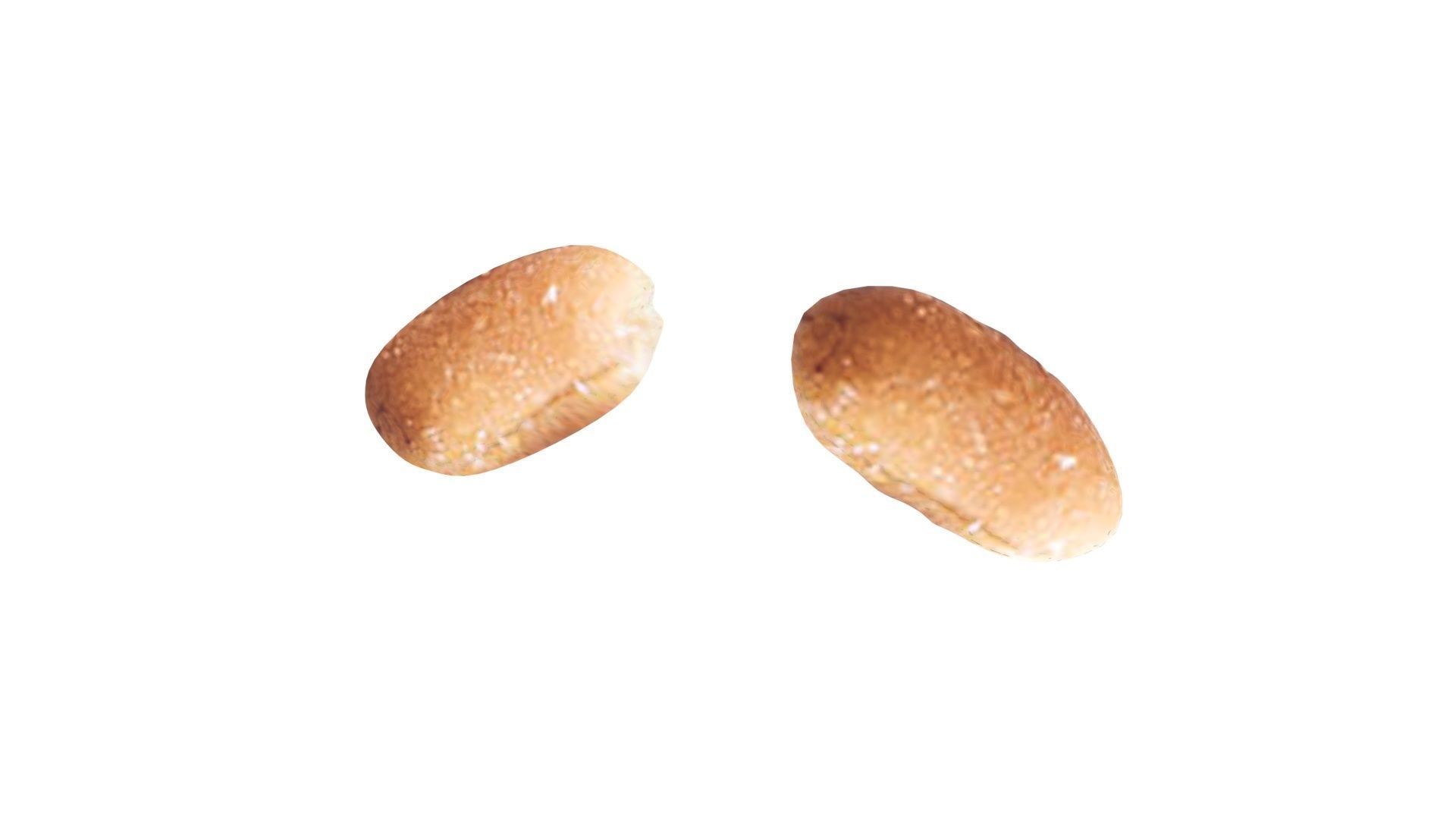 Peanut 3D model_15
