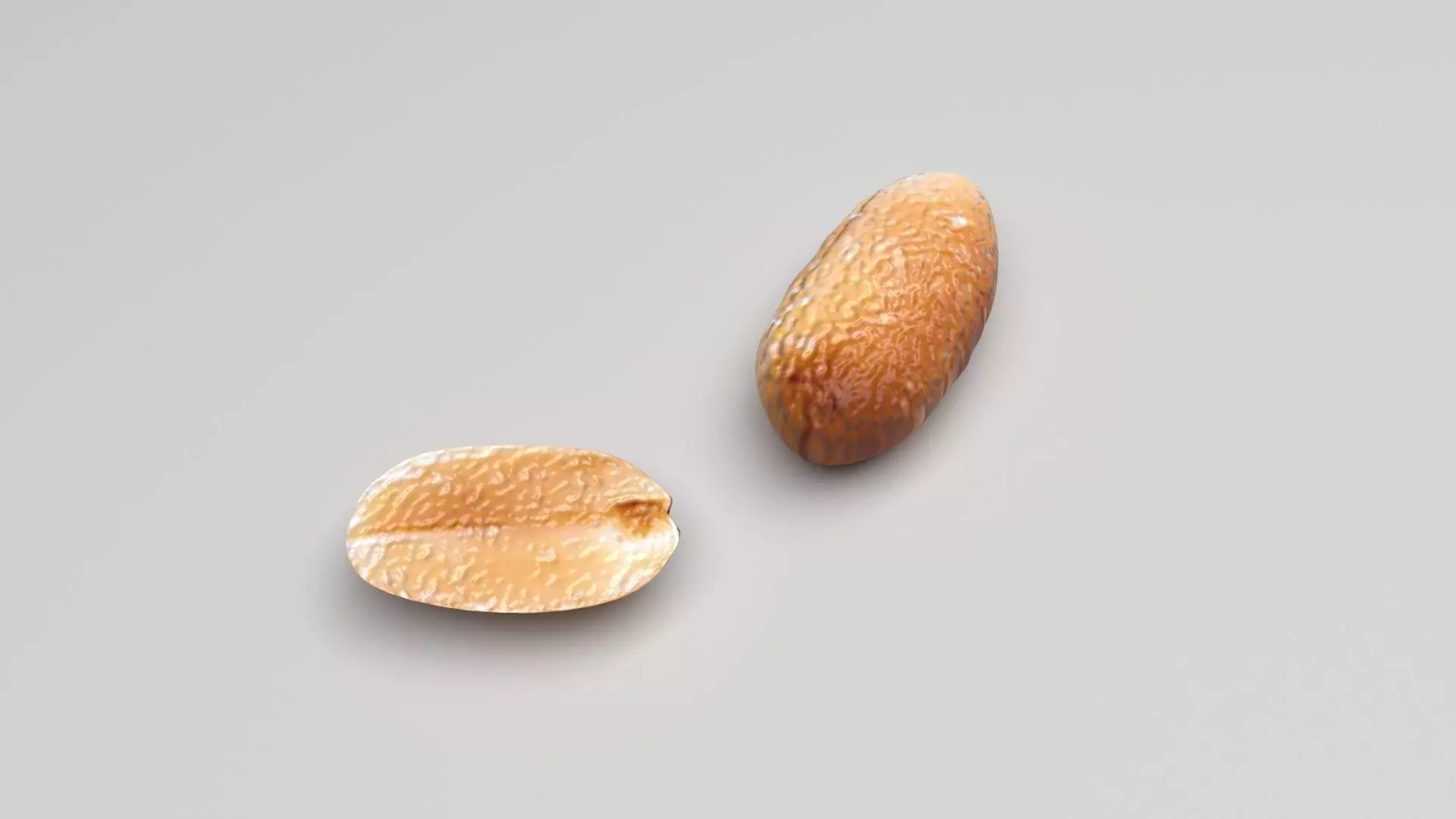 Peanut 3D model_0