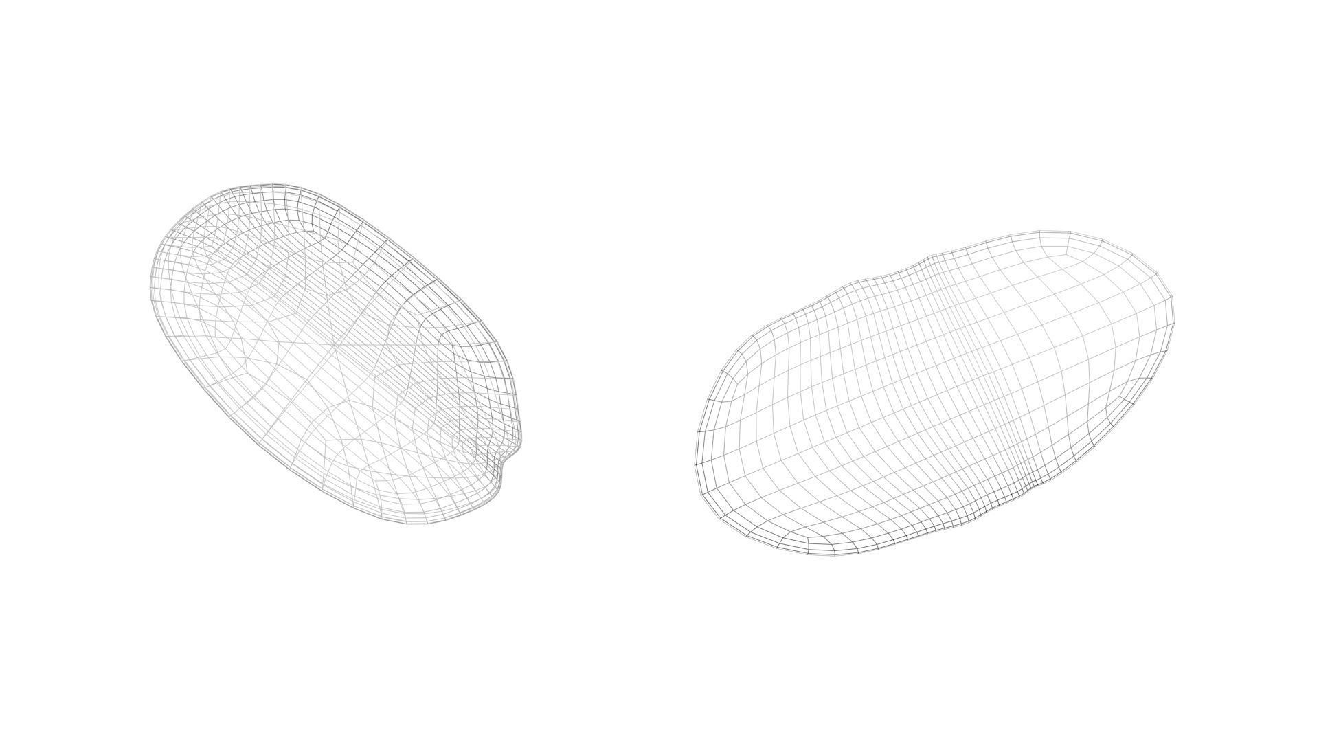 Peanut 3D model_23