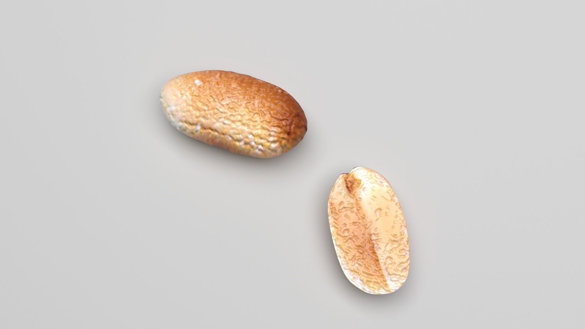 Peanut 3D model_3