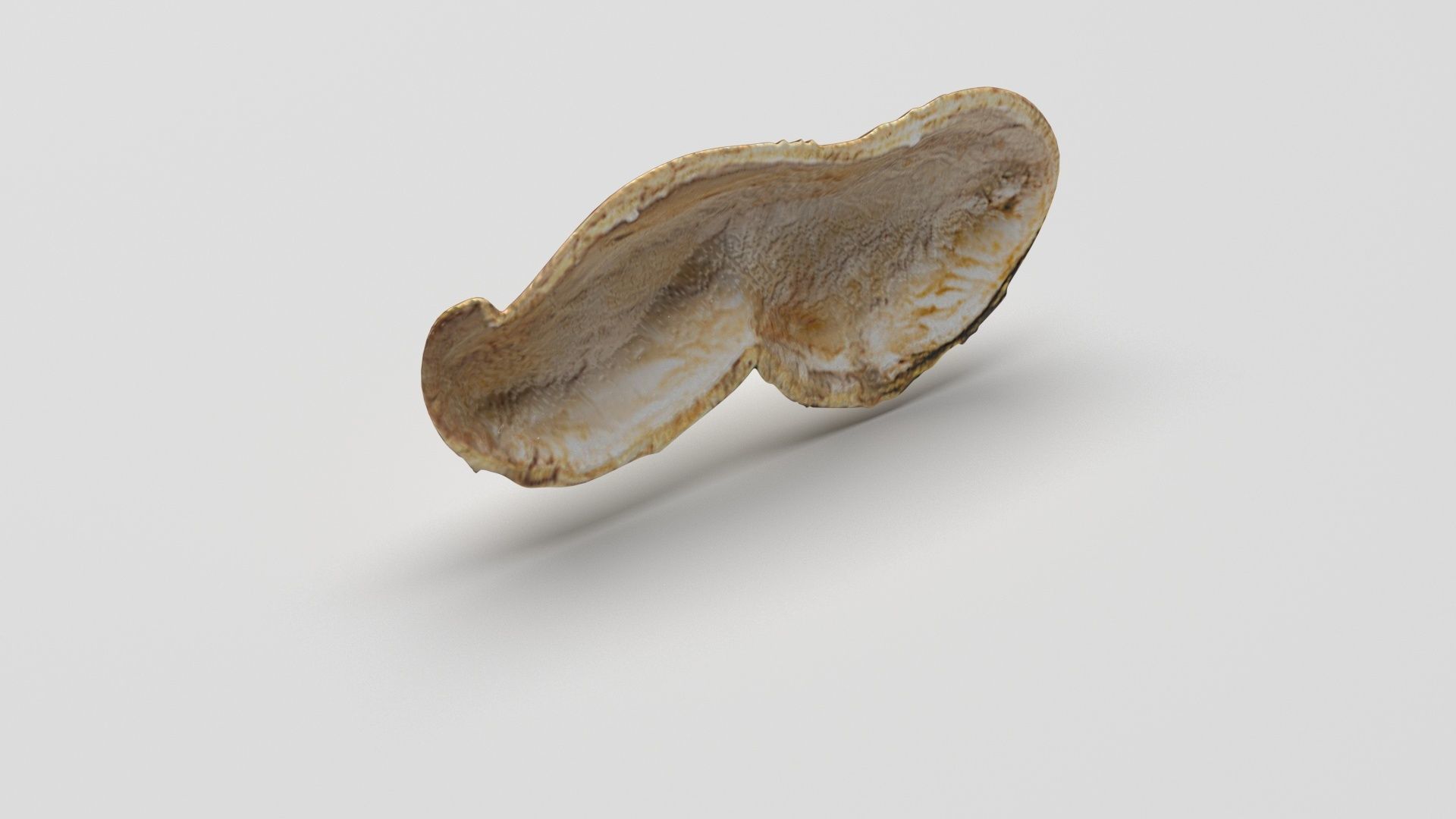 Peanuts 3D model_5