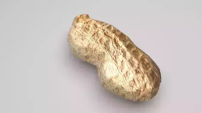 Unshelled Peanut