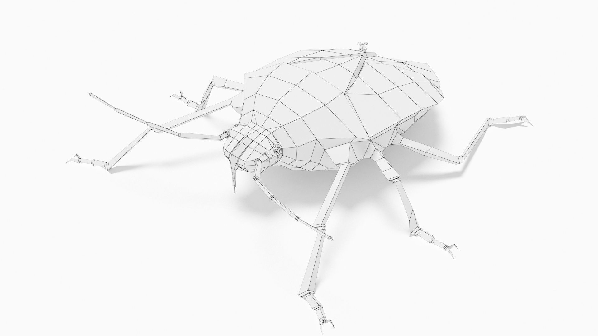 Bug low poly polygonal Low-poly 3D model_7