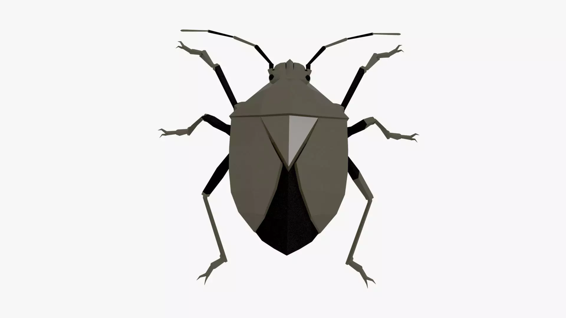 Bug low poly polygonal Low-poly 3D model_0