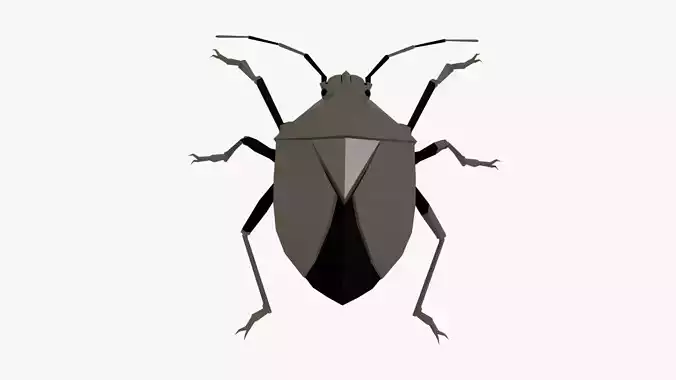 Bug low poly polygonal