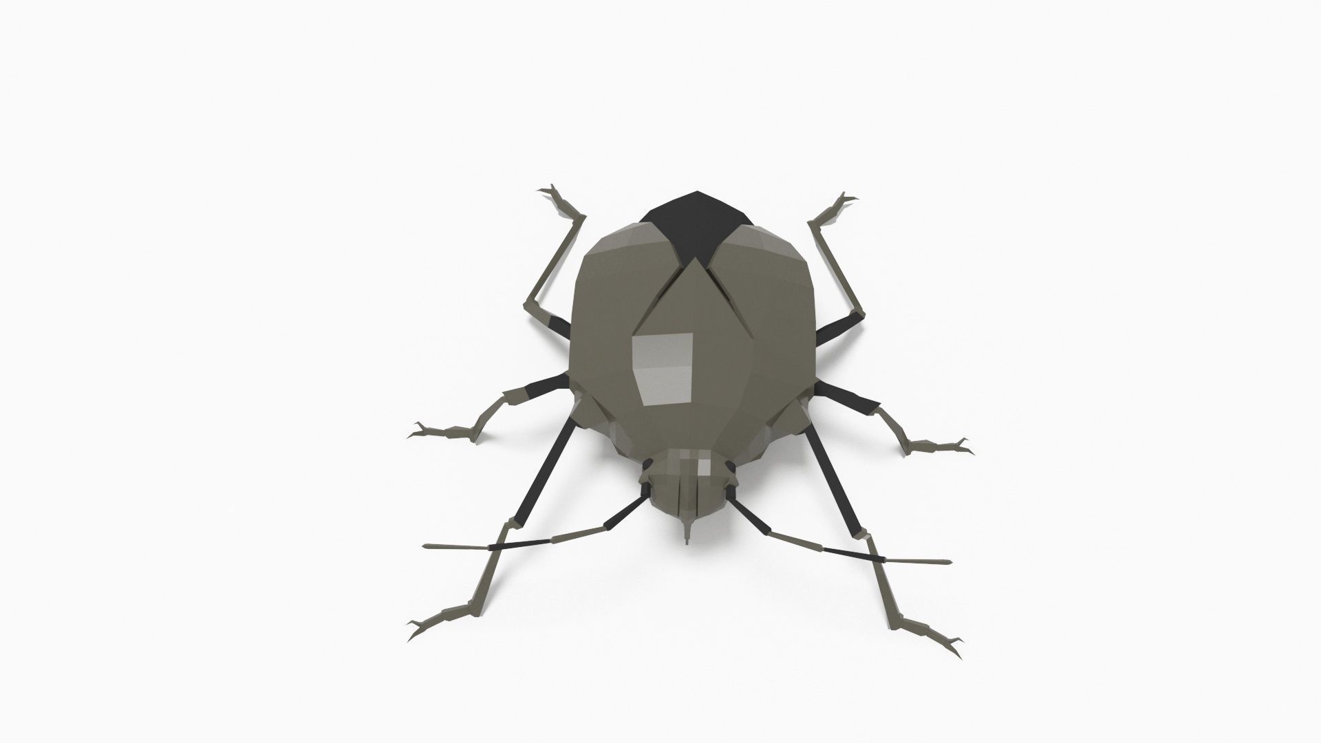 Bug low poly polygonal Low-poly 3D model_4