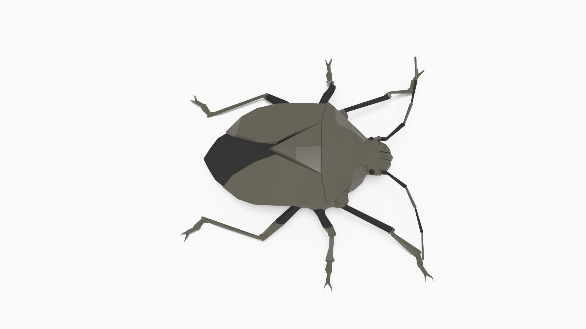 Bug low poly polygonal Low-poly 3D model_3