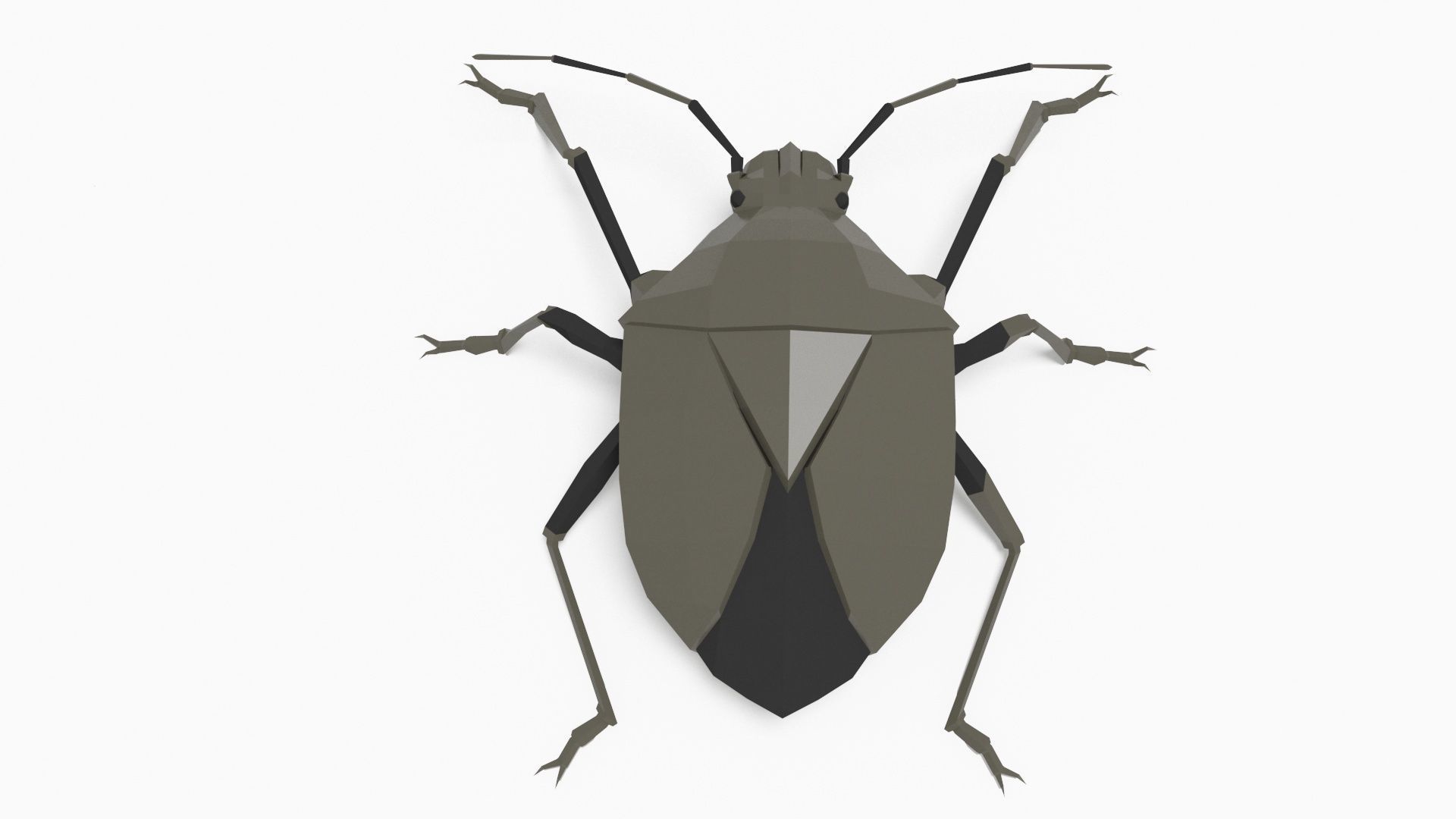 Bug low poly polygonal Low-poly 3D model_1