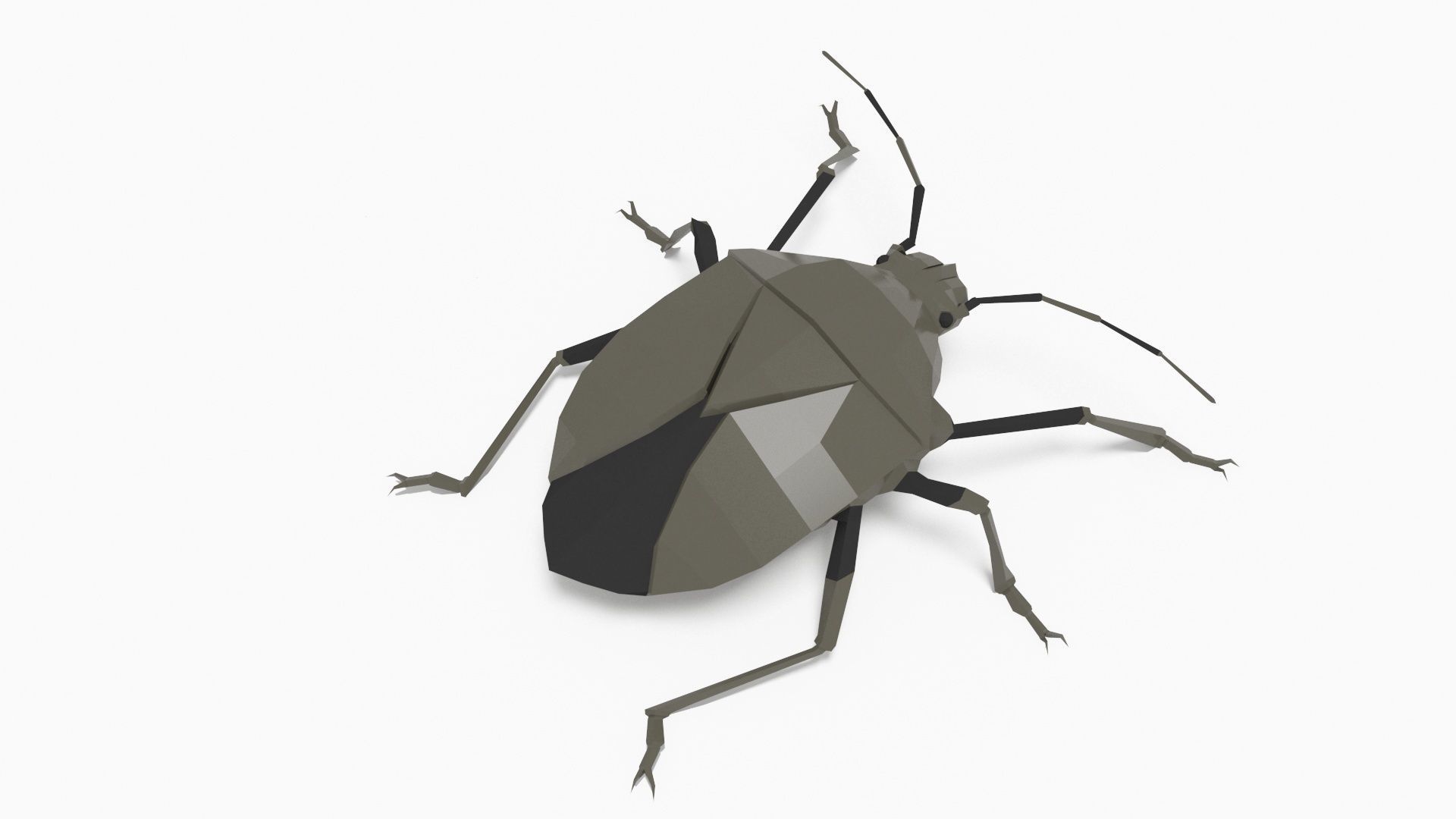 Bug low poly polygonal Low-poly 3D model_2