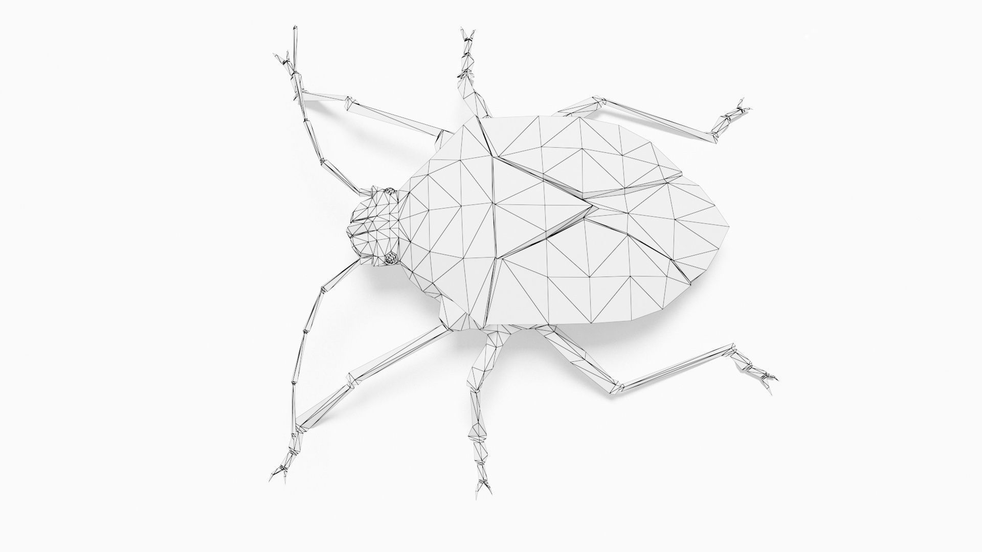 Bug low poly polygonal Low-poly 3D model_9