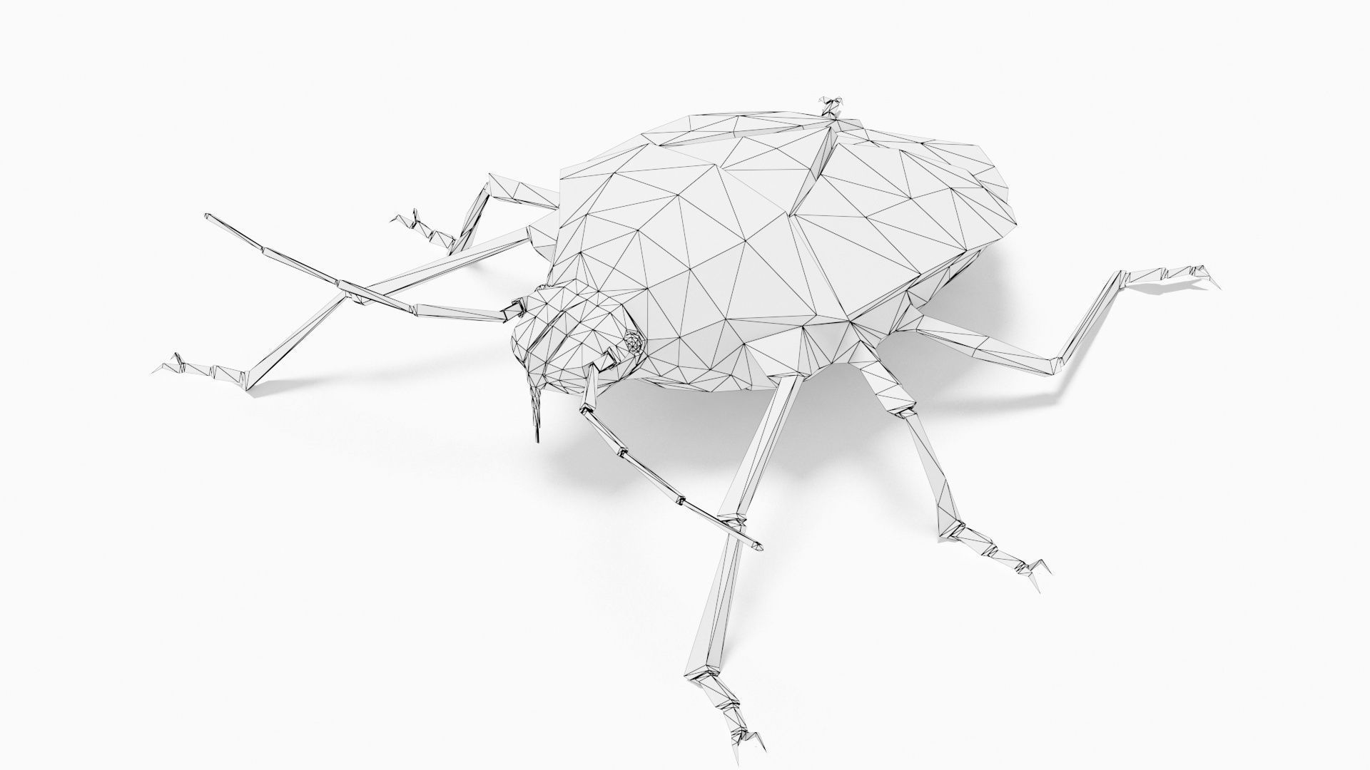 Bug low poly polygonal Low-poly 3D model_8
