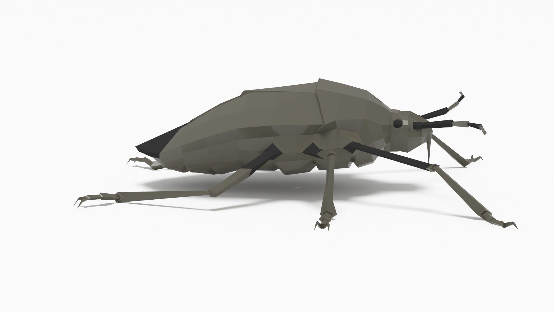 Bug low poly polygonal Low-poly 3D model_6