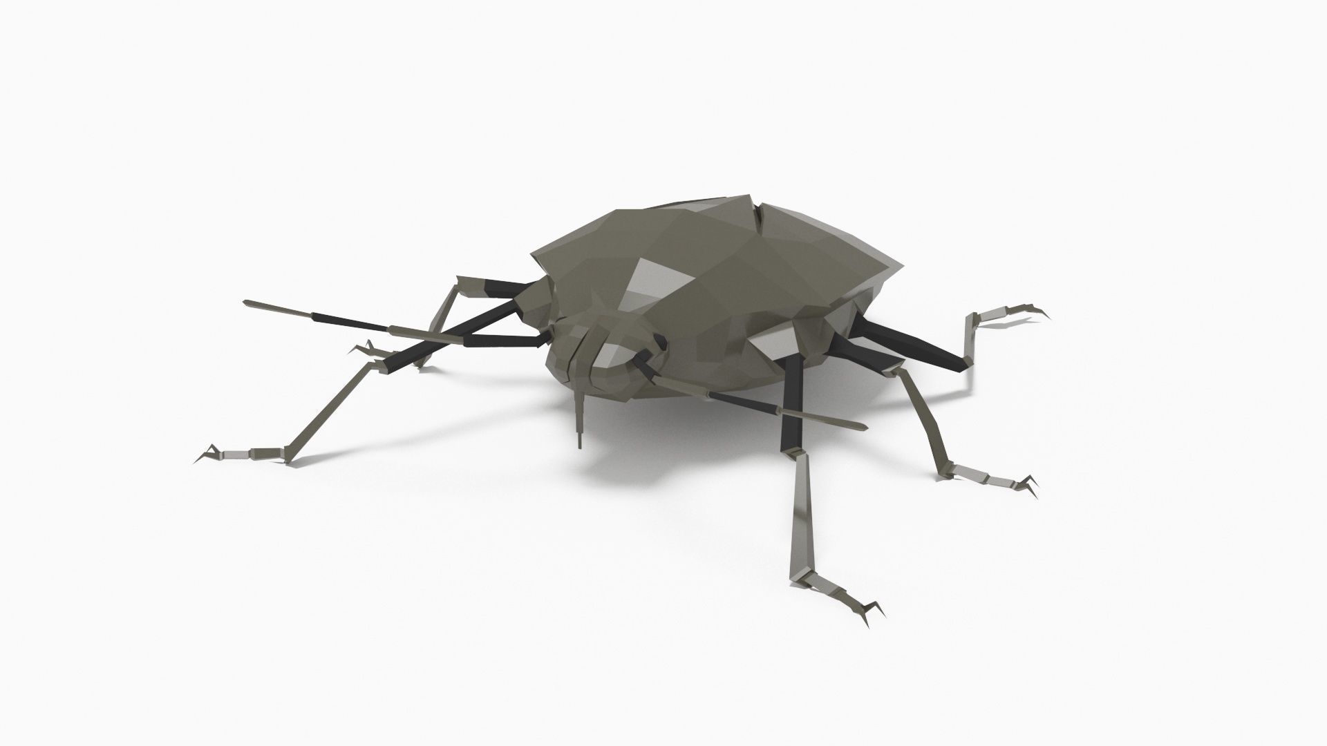 Bug low poly polygonal Low-poly 3D model_5