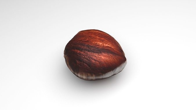 Hazelnut 3D model