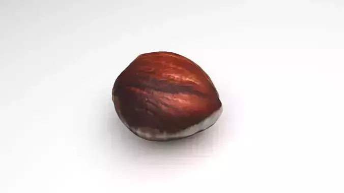Hazelnut
