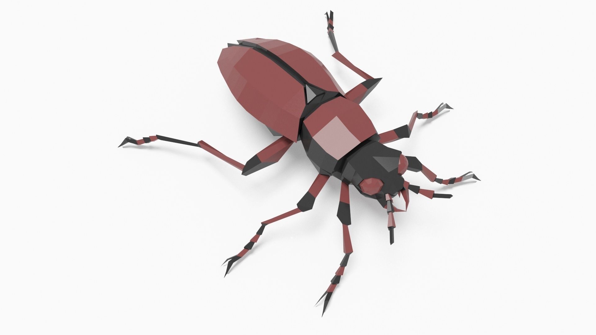 Bug low poly beetle Low-poly 3D model_1