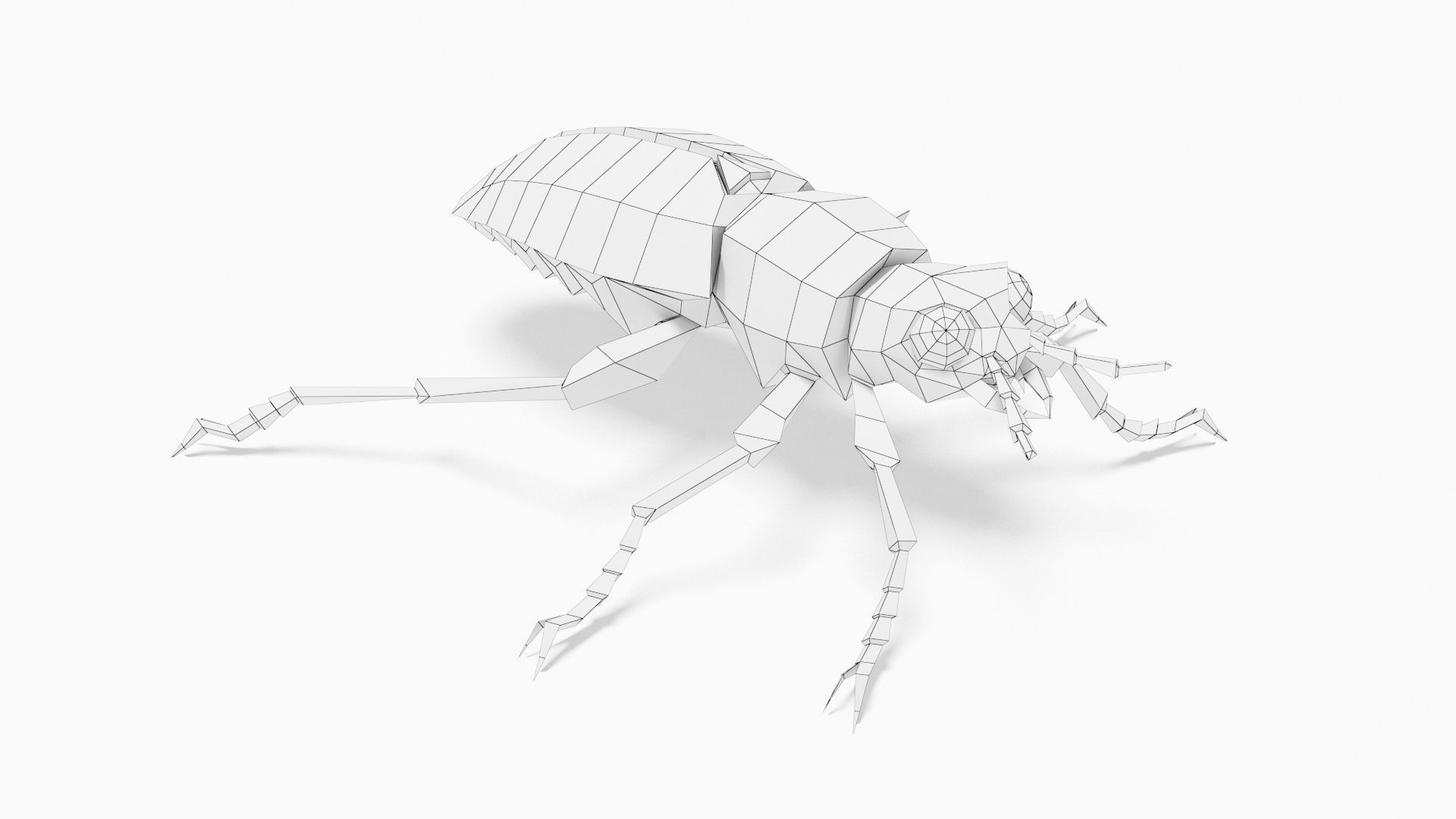 Bug low poly beetle Low-poly 3D model_7