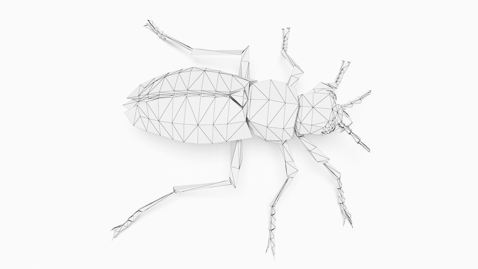 Bug low poly beetle Low-poly 3D model_9