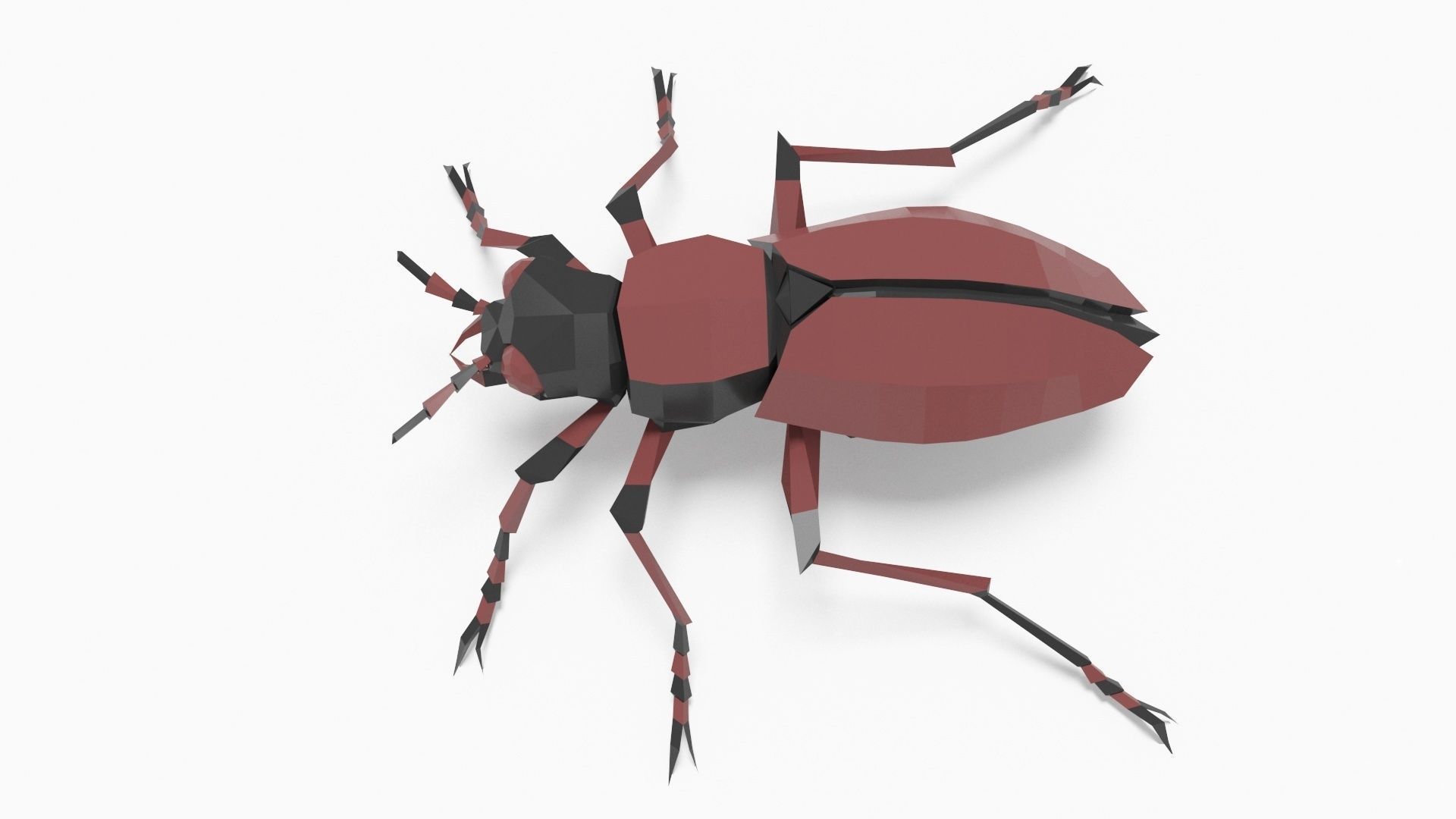 Bug low poly beetle Low-poly 3D model_3