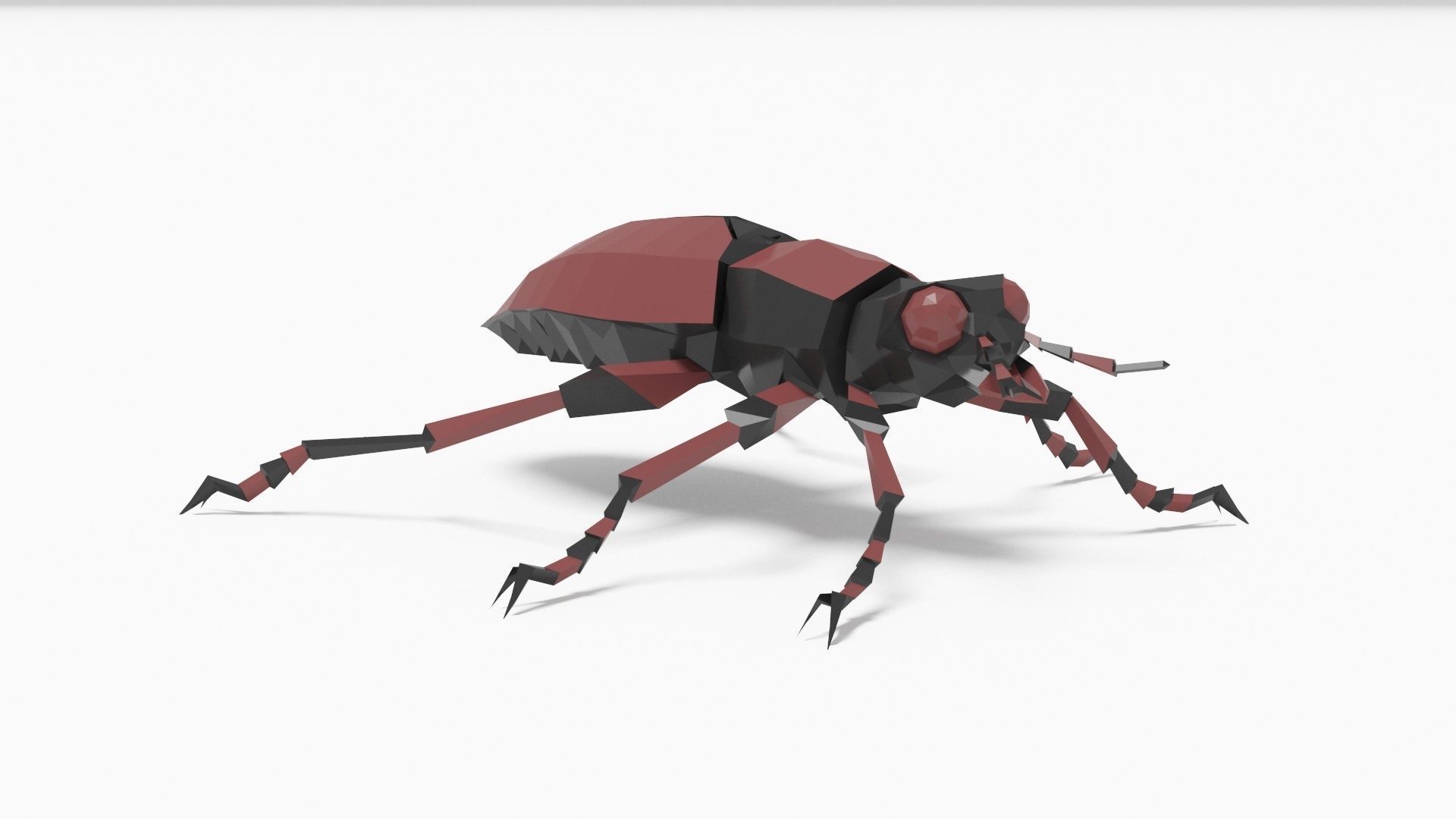 Bug low poly beetle Low-poly 3D model_6