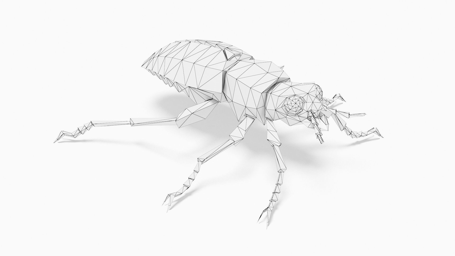 Bug low poly beetle Low-poly 3D model_8