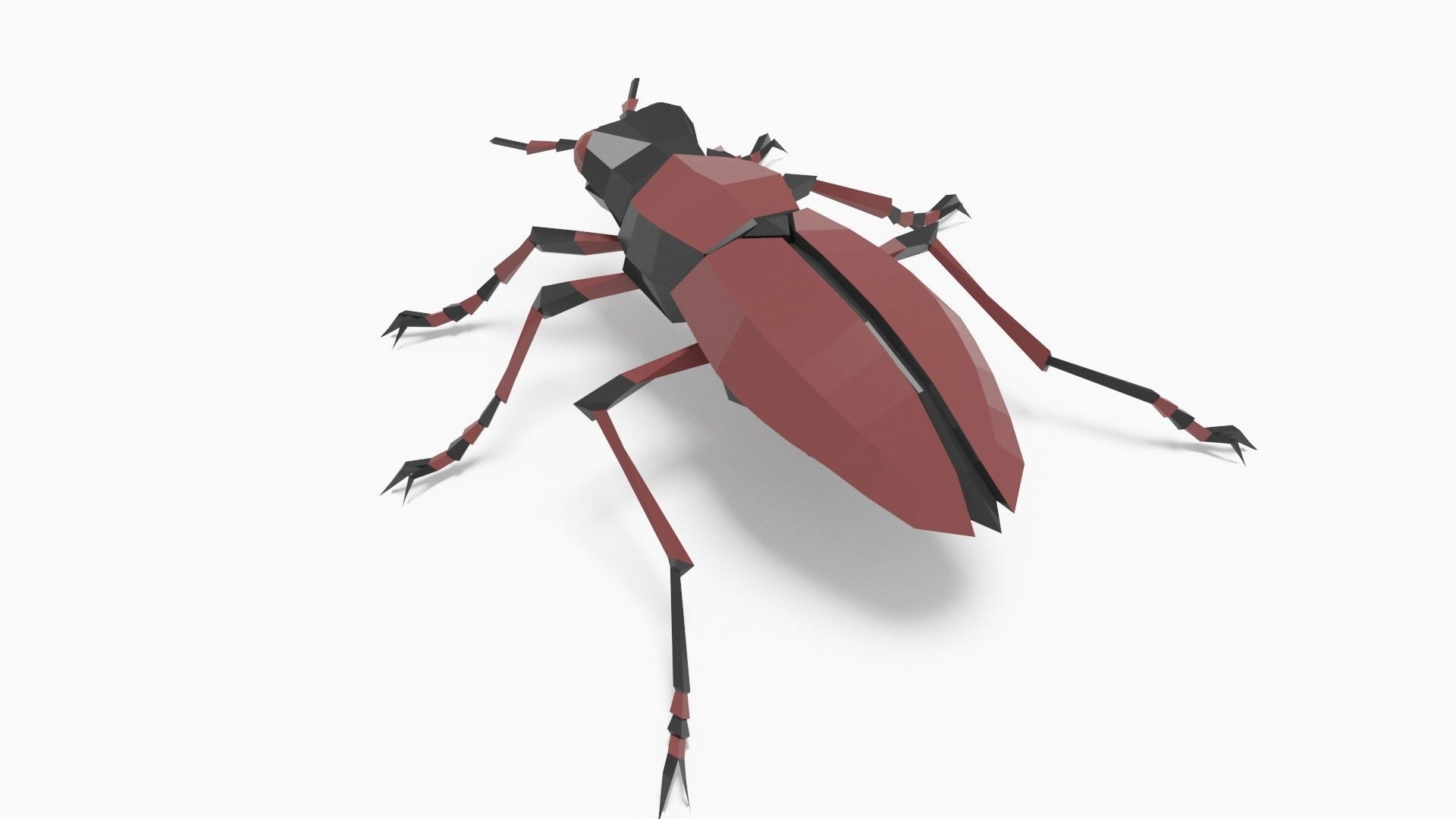 Bug low poly beetle Low-poly 3D model_4