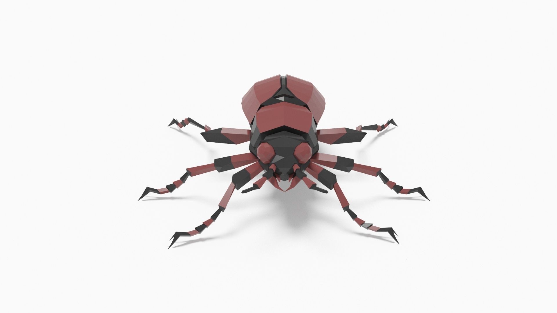 Bug low poly beetle Low-poly 3D model_5