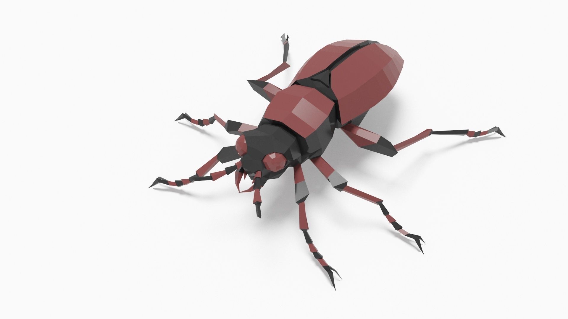 Bug low poly beetle Low-poly 3D model_2