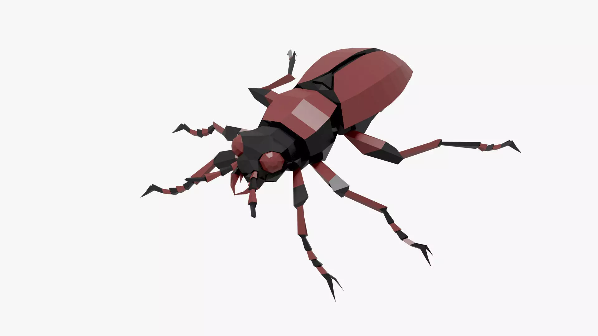 Bug low poly beetle Low-poly 3D model_0