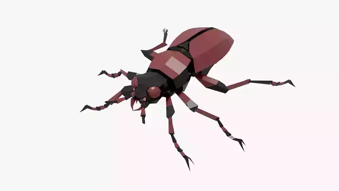 Bug low poly beetle