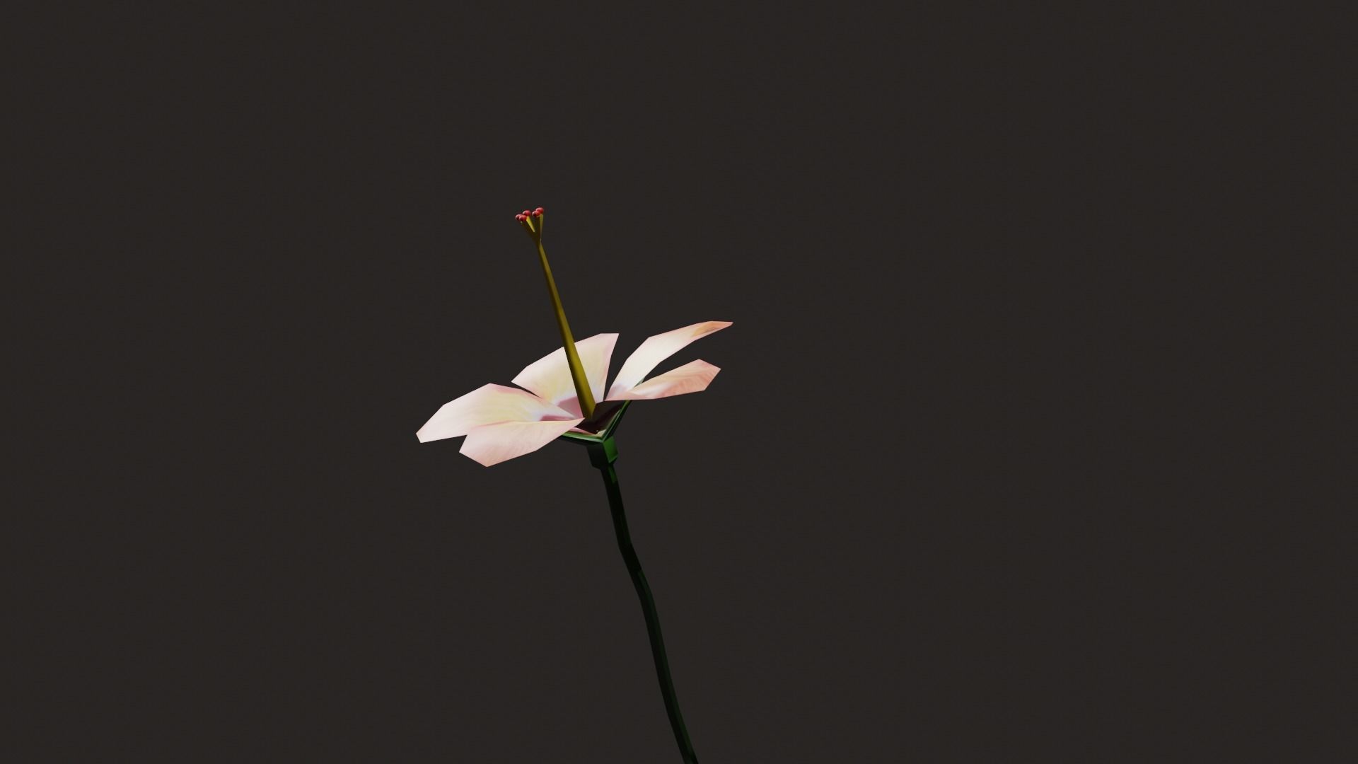 Hibiscus  Flower in Blender Low-poly 3D model_2
