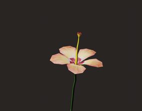 Free Hibiscus 3D Models | CGTrader