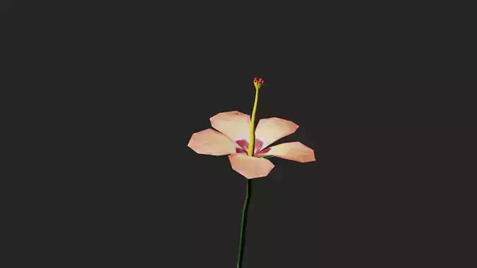 Hibiscus  Flower in Blender Low-poly 3D model